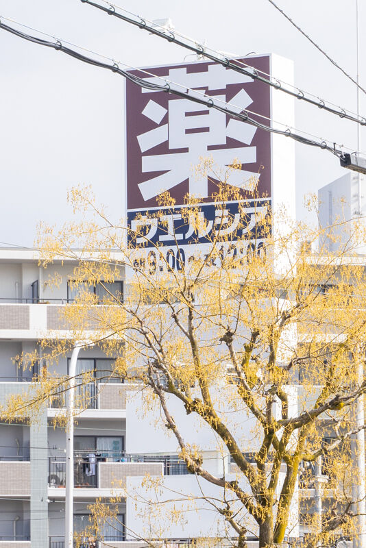 ウエルシア-2102045