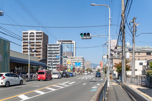 takenokoplus20231103114605