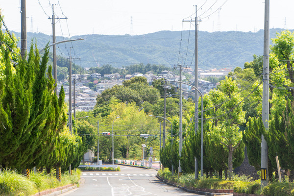 南平台20240619092346