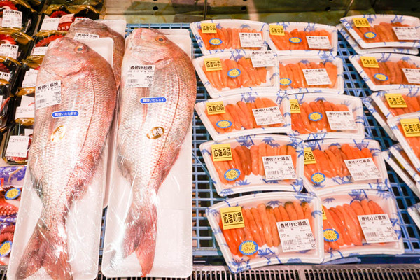 たこ一4-202112148