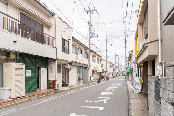 山茶花20250328105756