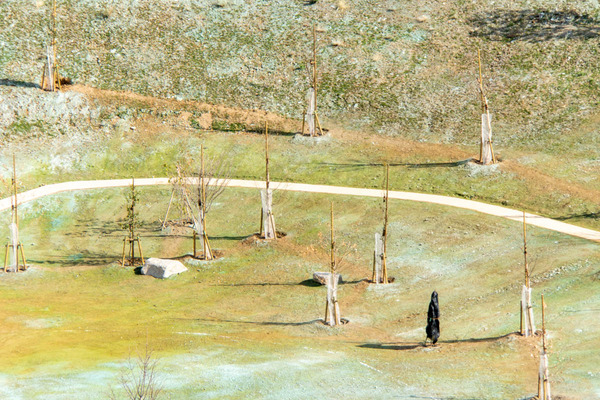 安威川ダム20240202131213