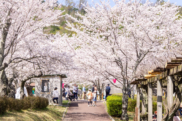 摂津峡20230330011908