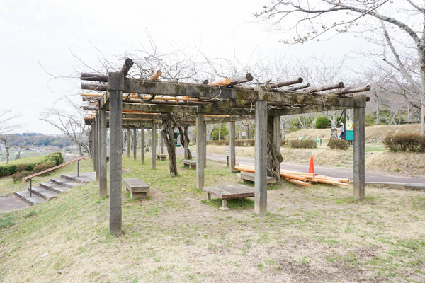 摂津峡公園-2023032131