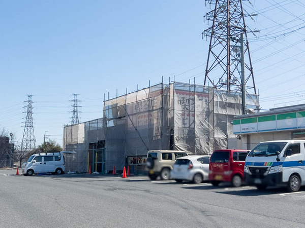 ピノキオ20260217115359