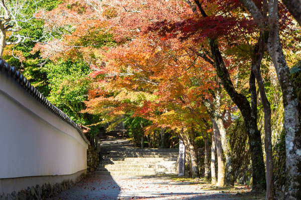 神峯山寺20221110133536