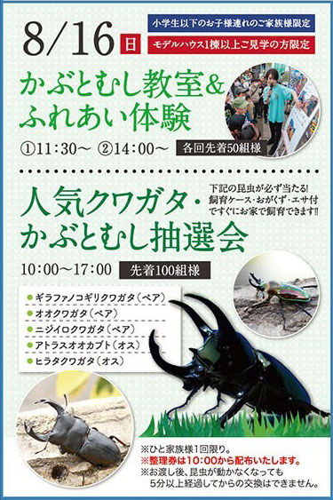 16かぶとむし