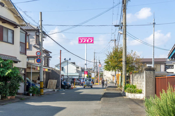 こすもす20211102095808