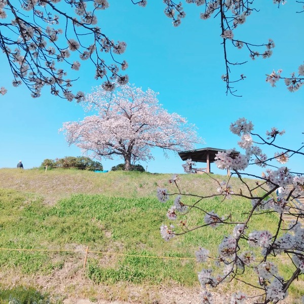 IMG_20230401_111705_777