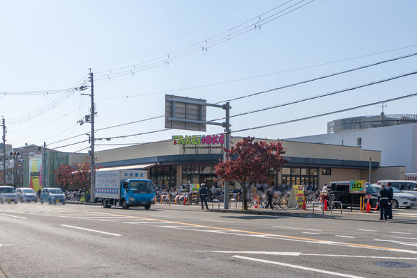 takenokoplus20231103114427