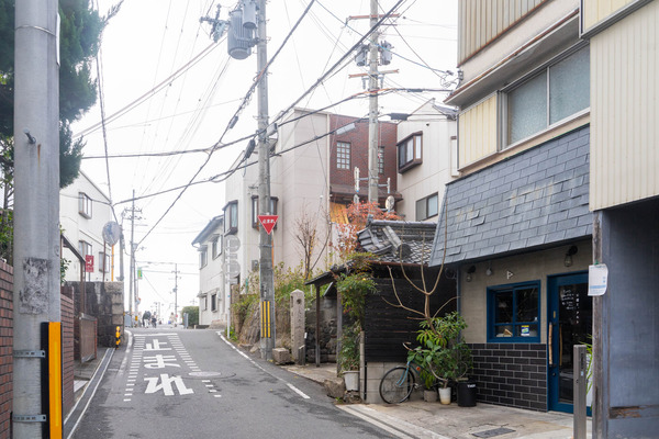 公園と、タルト-2101074