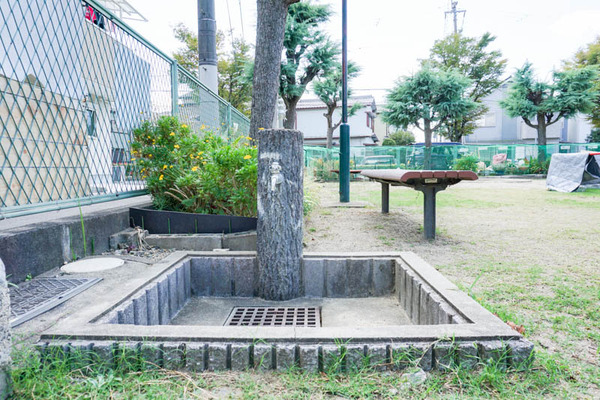 だりあ公園-202110149