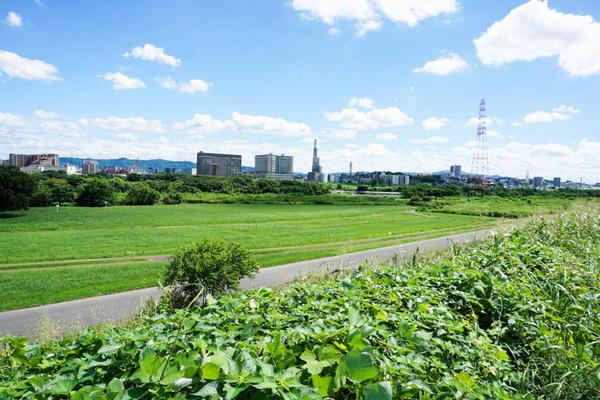くらわんか駐輪場-202209026