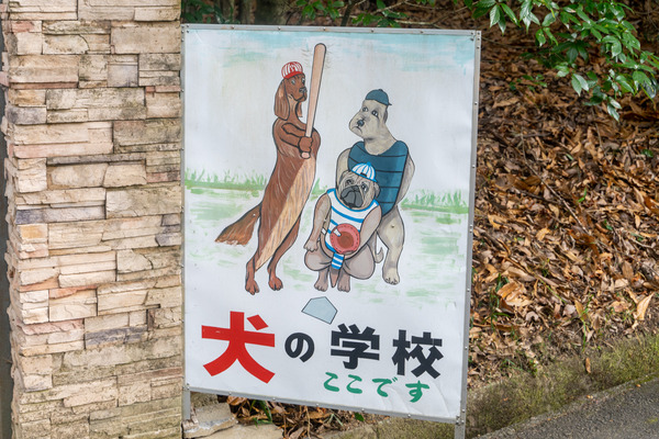 ここです-2012211