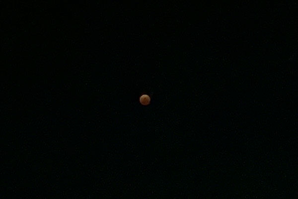 1474CAC3-97BC-4003-85E5-F28C1520D8A1