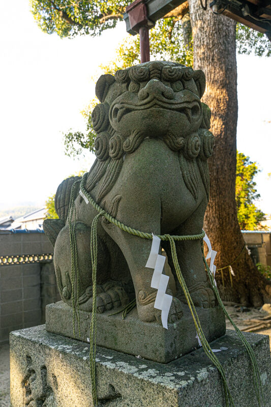 春日神社-20122213