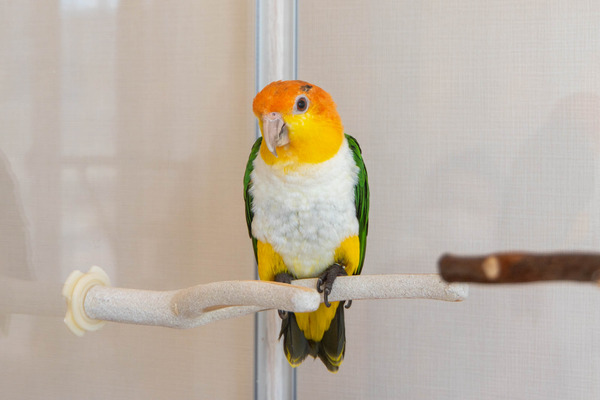 小鳥遊カフェ20241010105709