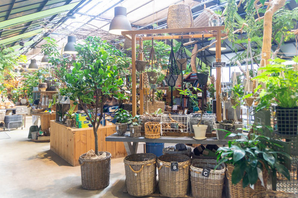 THEFARM20230822111837