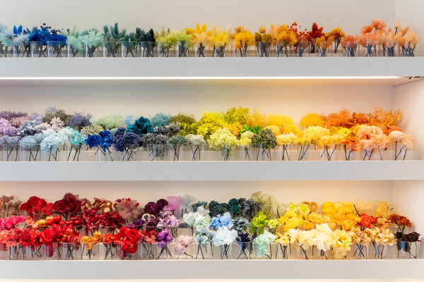 ヘア20250113143908