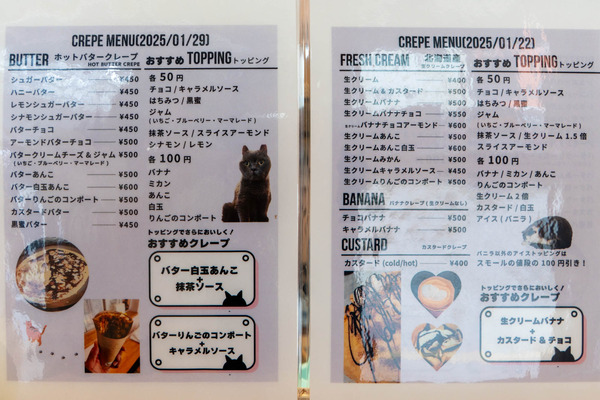 ねこのかえりみち20250327131314