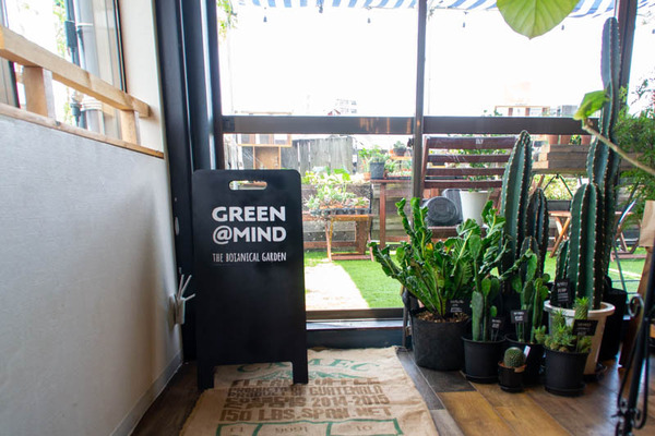 GREEN MIND-202107156