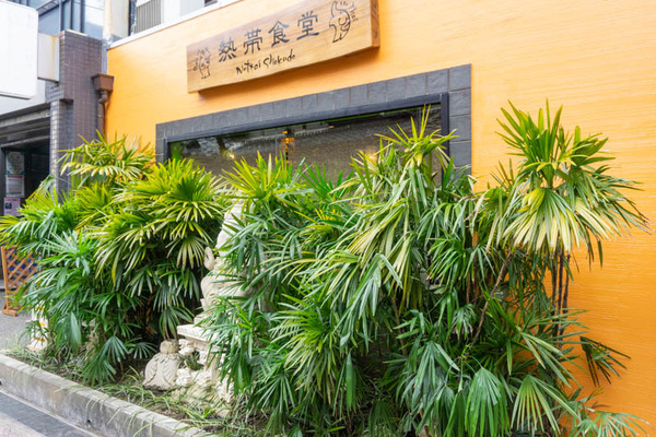 熱帯食堂20220117145226