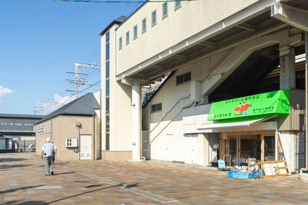 自然館20230721155301