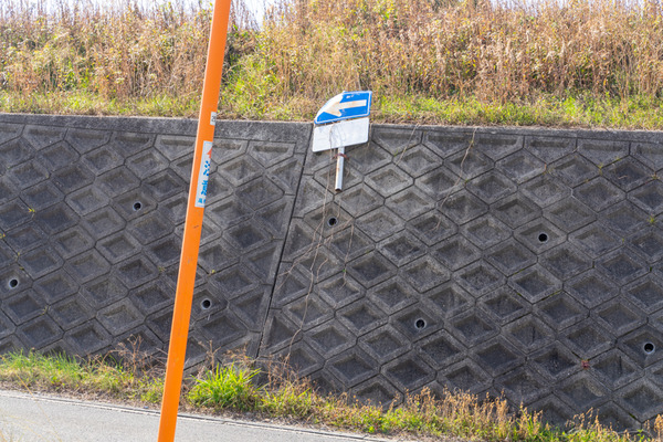 もう虫の息-2103111