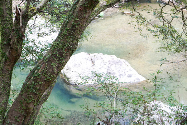 摂津峡公園-20230321107