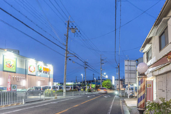 からあげ金と銀20210412184509