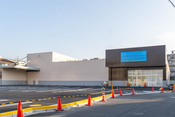 コスモス20260119150704