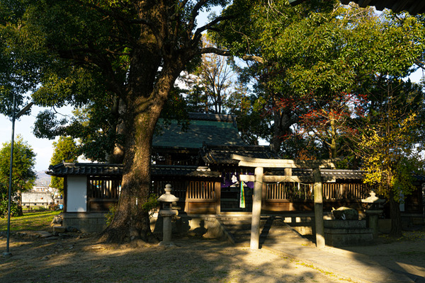 春日神社-2012229