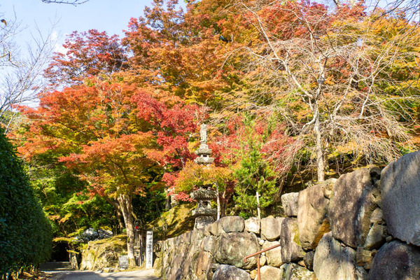 神峯山寺20221110135909