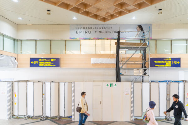EMIRU-2010271