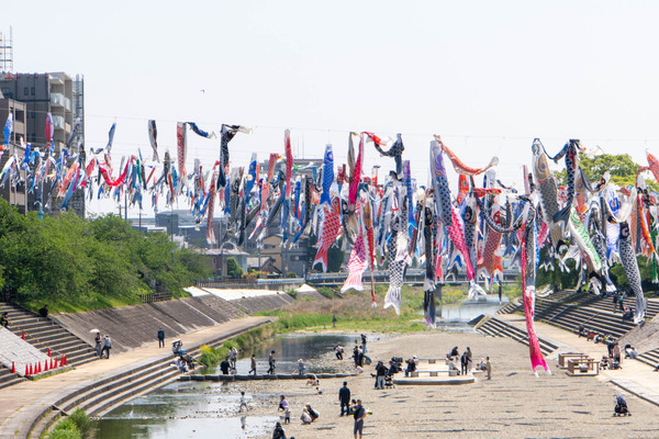 鯉のぼり20250430114519