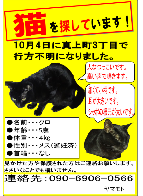 チラシ画像