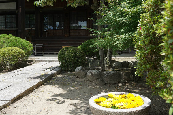 浄誓寺-202207099