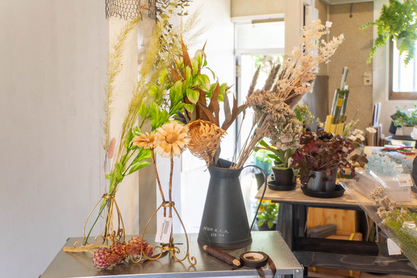 merryplants20240619102738