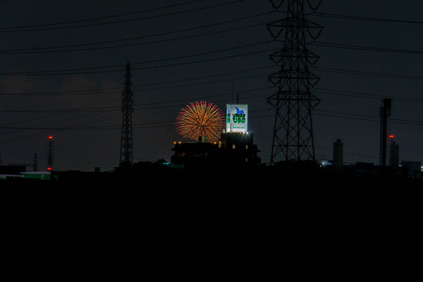 はなびーー-24080311