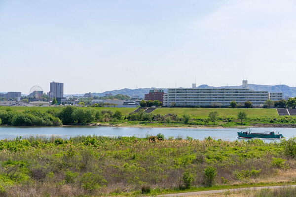 ca7665a4-s