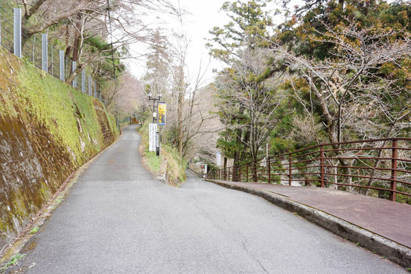 摂津峡公園-2023032197