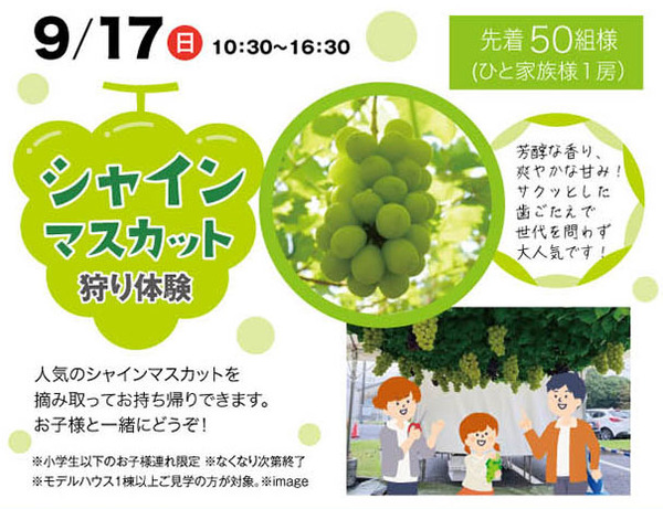 高槻マスカット