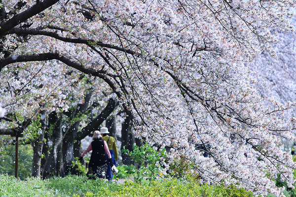 4A3F8772-4B94-418C-A6F2-65E73AD2EE5A