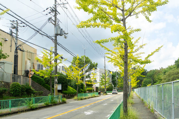 フレンドマート20230928121734