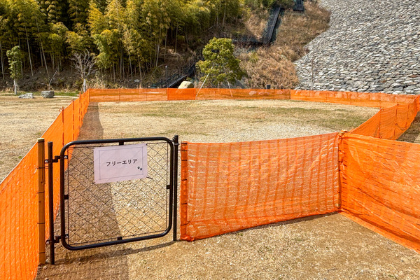 ドッグラン6