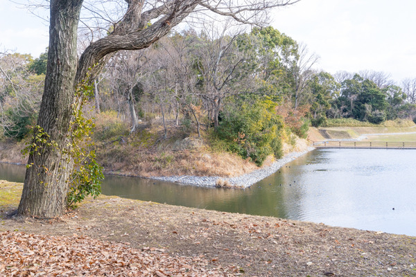 今城塚古墳公園-21012939