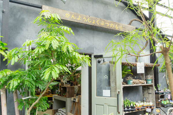 THEFARM20230822112626