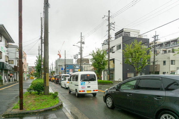 ture plants20210817120709