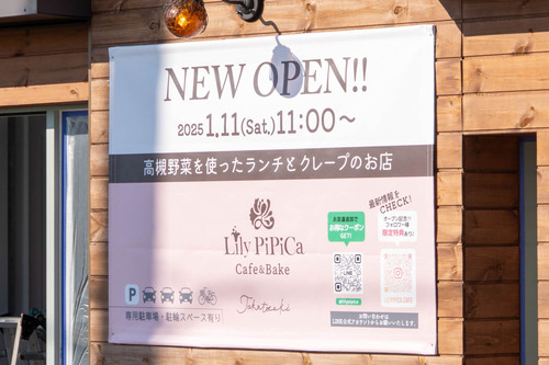 リリピピカ20241217100820