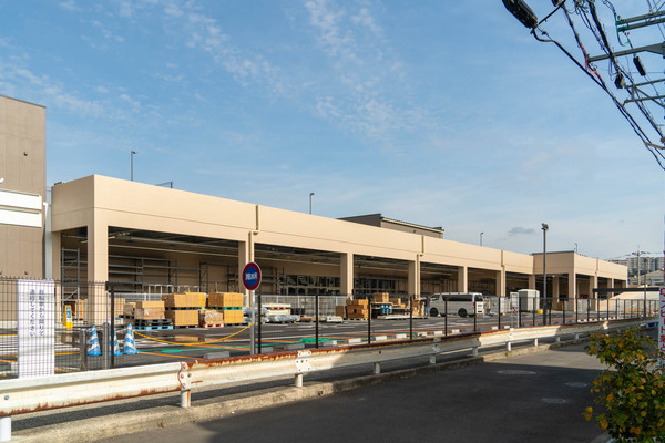 コーナン-2412131